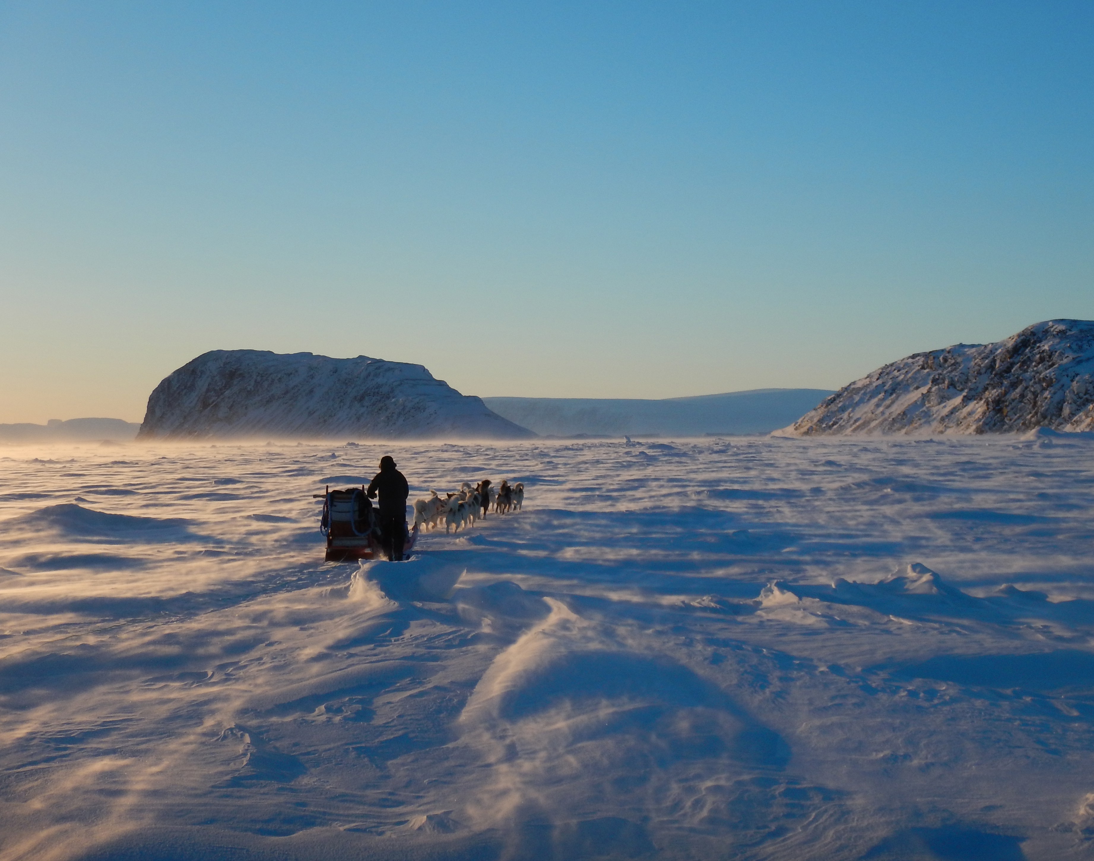 En person kører hundeslæde gennem et snedækket arktisk landskab med klippeformationer og blå himmel i baggrunden.