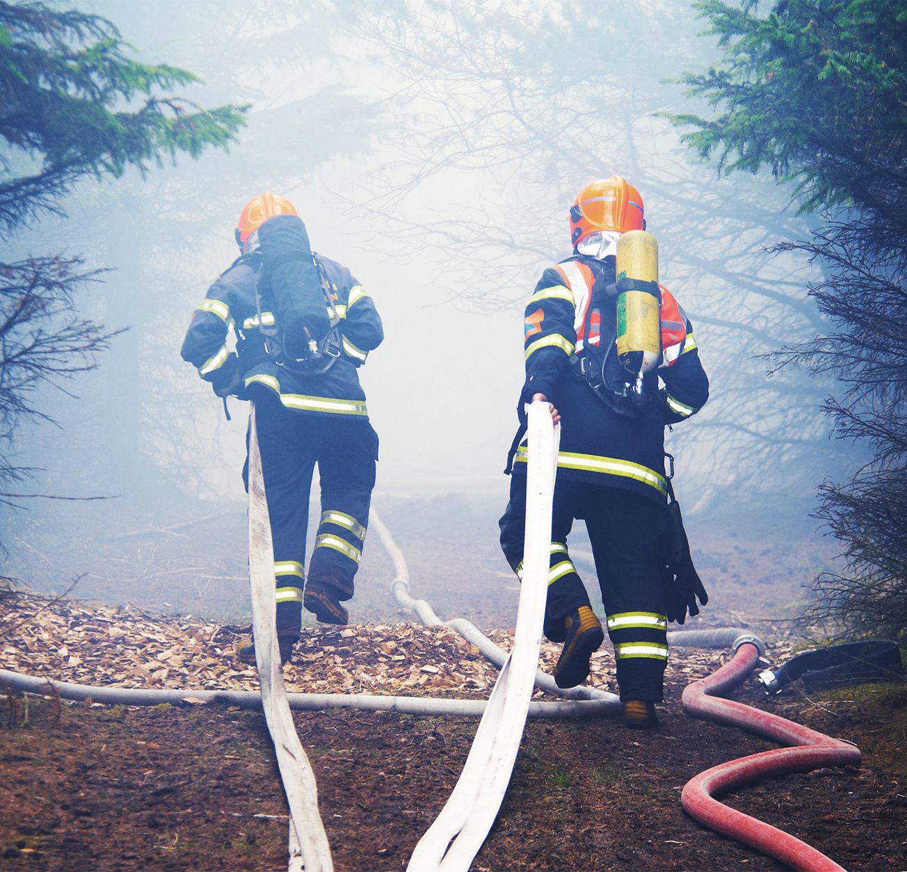 To brandfolk løber gennem røgfyldt skov med brandslanger.