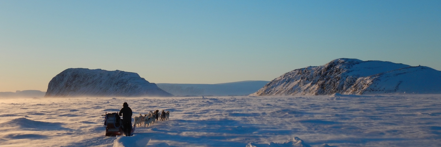 Person med hundeslæde bevæger sig over sneklædt arktisk landskab med bakker i baggrunden og gyldent sollys.