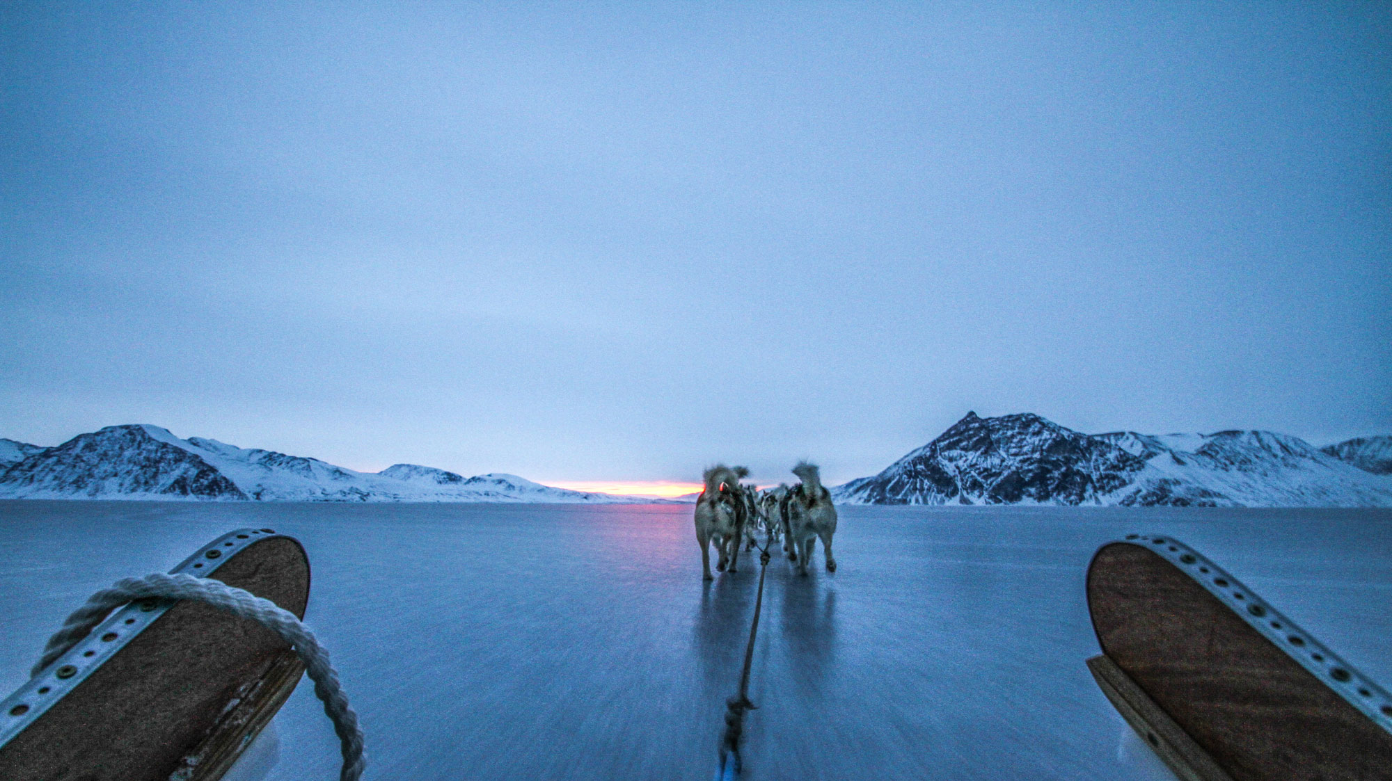 Udsigt fra en hundeslæde i fart hen over isen, med et hundespand foran og sneklædte bjerge omkring en blålig arktisk horisont.