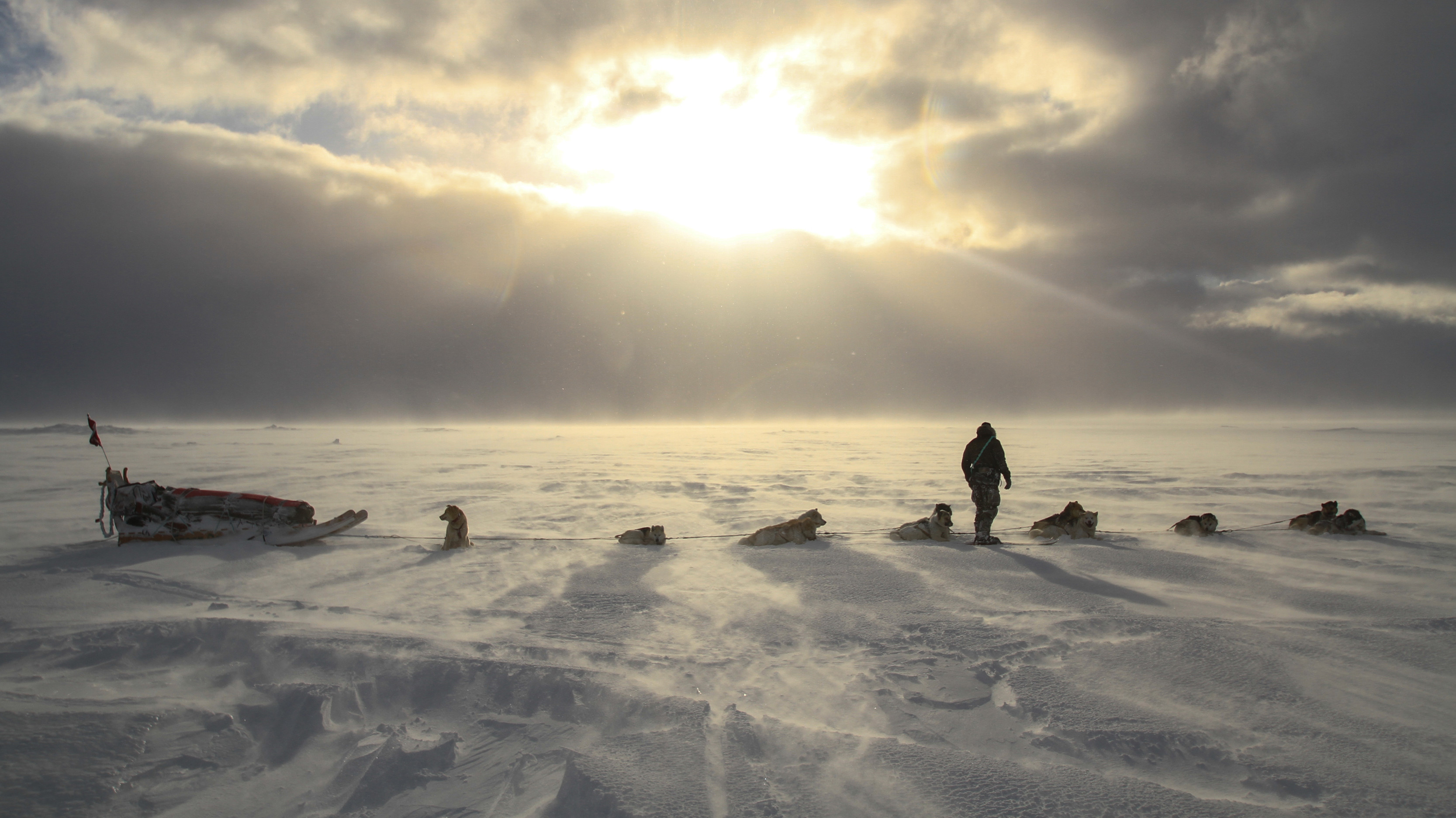 En slædefører står på en snedækket ødemark med sit hundespand, mens solen bryder gennem mørke skyer over horisonten.