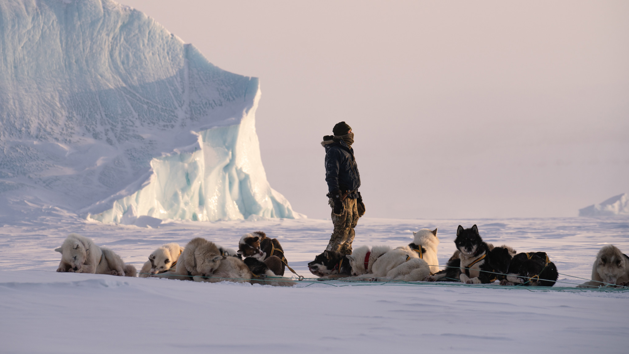 En slædefører står i det snedækkede arktiske landskab omgivet af sin hvilende hundeslæde, med en stor isformation hævet i baggrunden