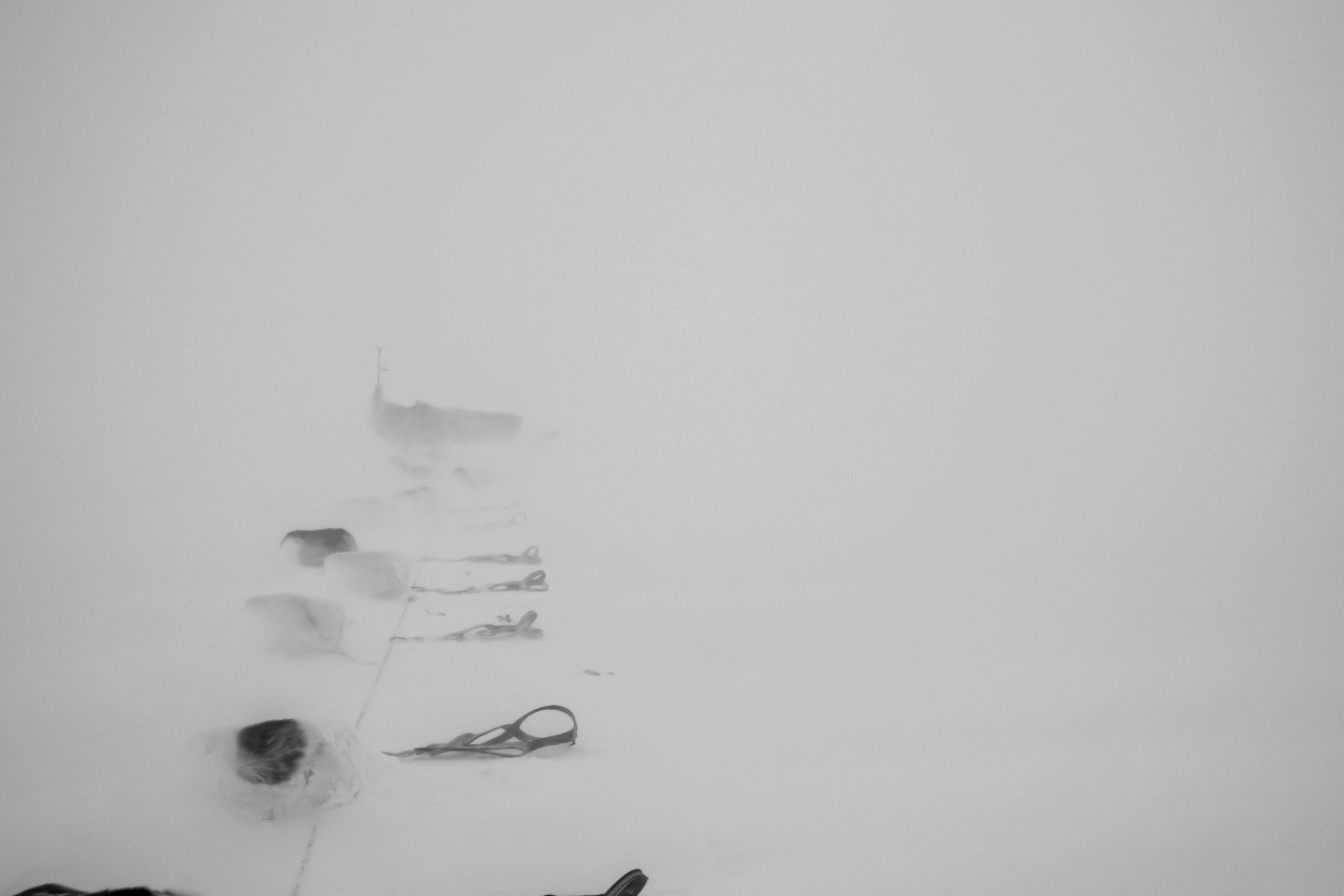 Hundeslæde fra Siriuspatruljen i whiteout i Grønland hvor ekstrem kulde og sigtbarhed udfordrer patruljen.