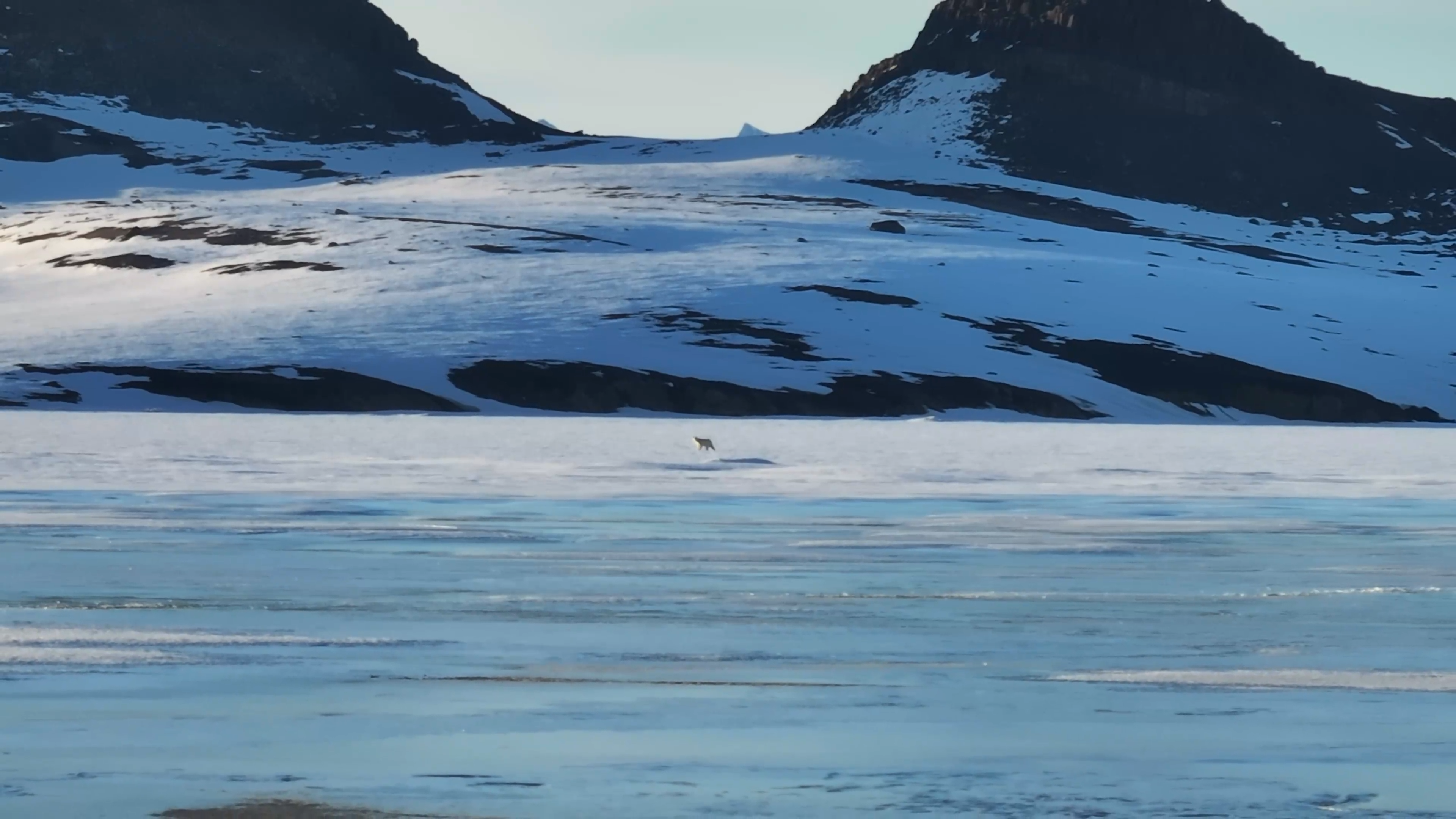 Traktor med sneplov kører på grusbelagt landingsbane i arktisk landskab med lave bygninger og snepletter i baggrunden.